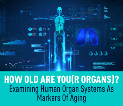 How Old Are You(r Organs)? – Examining Human Organ Systems As Markers Of Aging